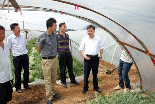 �����wϵ�J�C